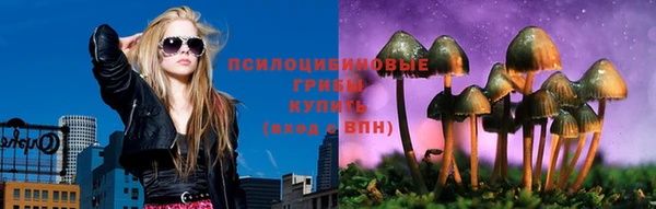 spice Богородицк
