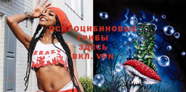 экстази Богородск