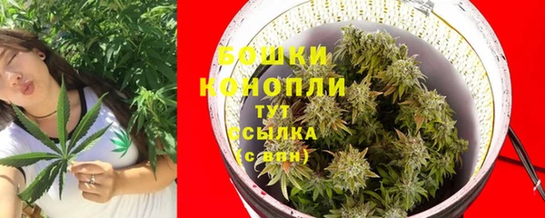 spice Богородицк