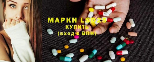 spice Богородицк