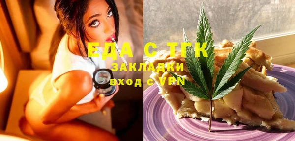 spice Богородицк