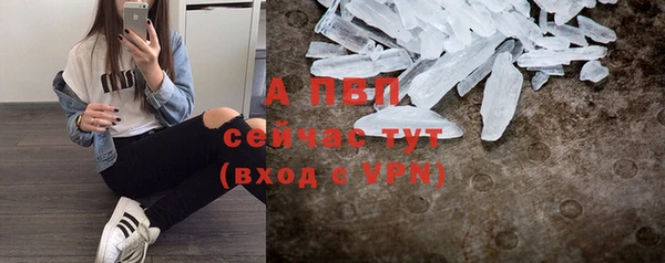 spice Богородицк
