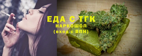 spice Богородицк