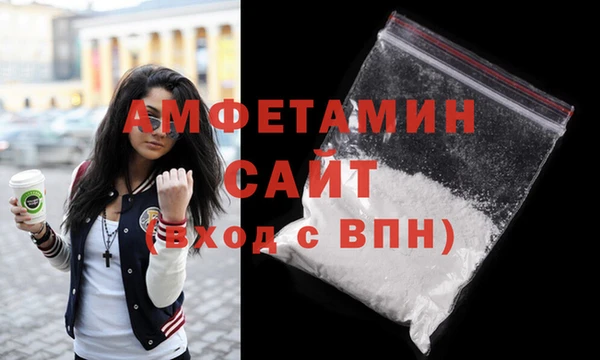 spice Богородицк